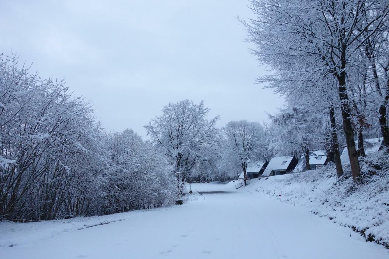 Belle Vue Βίλα Malmedy Εξωτερικό φωτογραφία